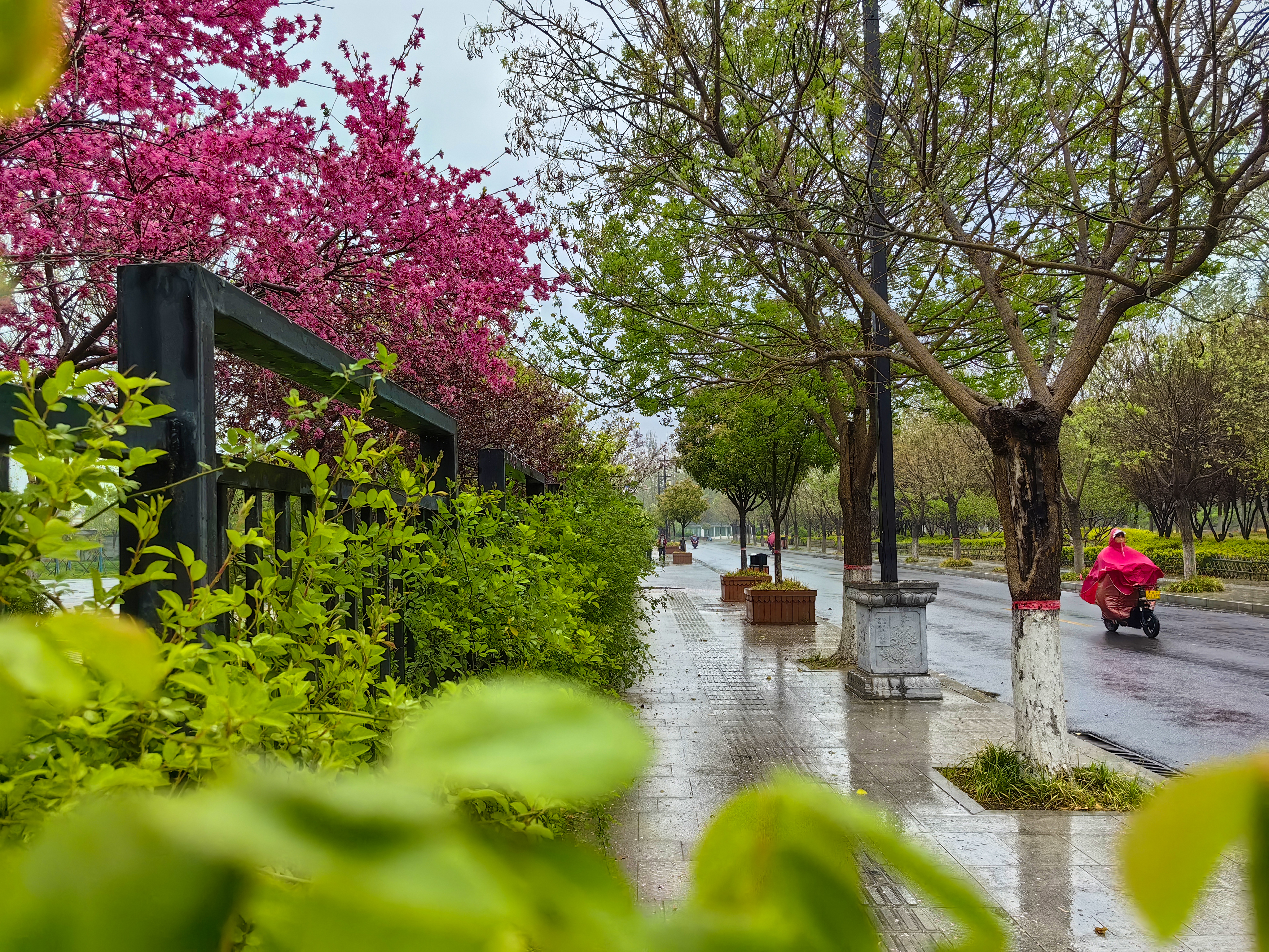 4月3日，雨中邂逅别样古城风韵，街头巷尾，烟雨朦胧。全媒体记者 石斐 摄