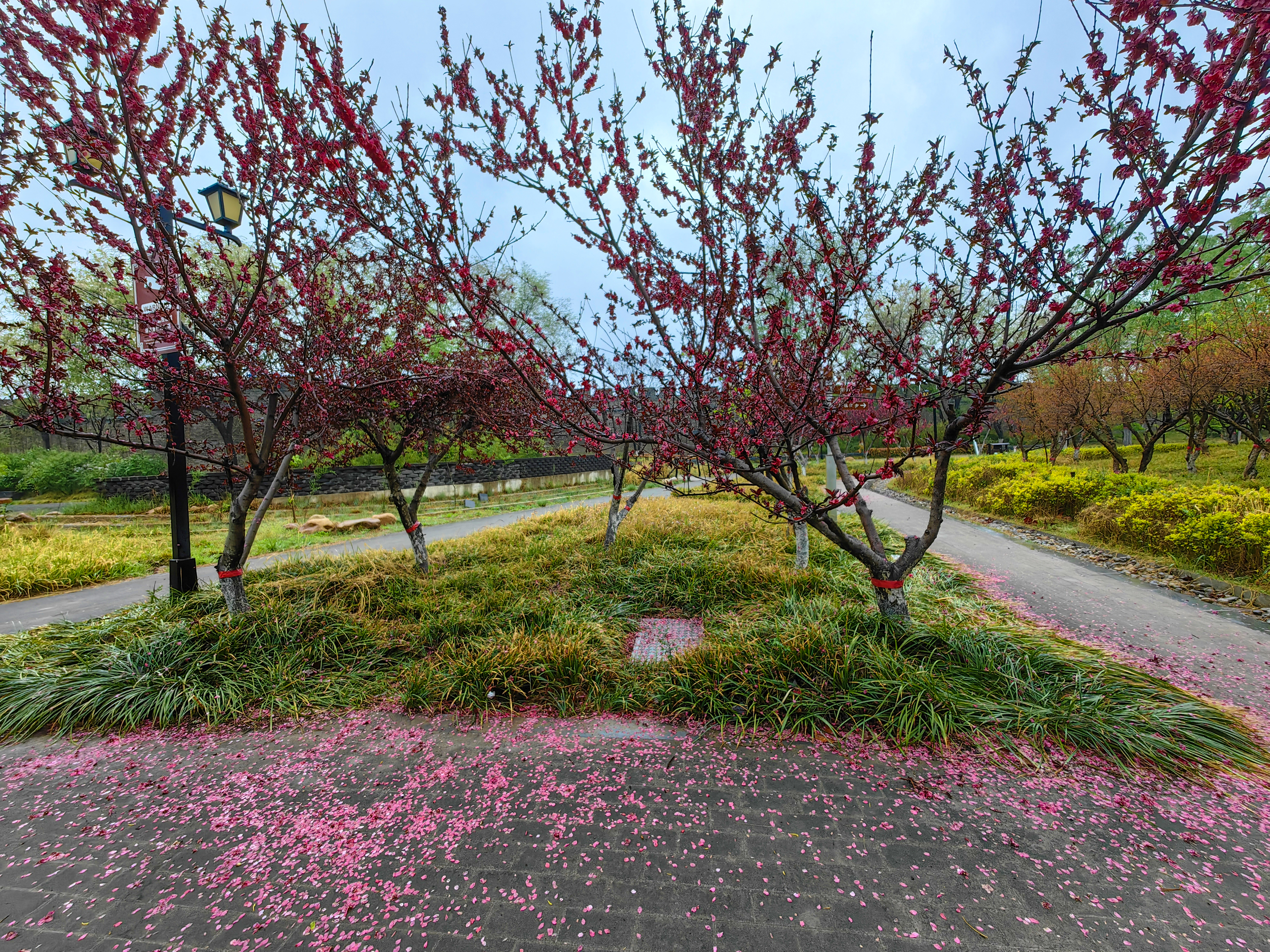 4月3日，雨中邂逅别样古城风韵，街头巷尾，烟雨朦胧。全媒体记者 石斐 摄